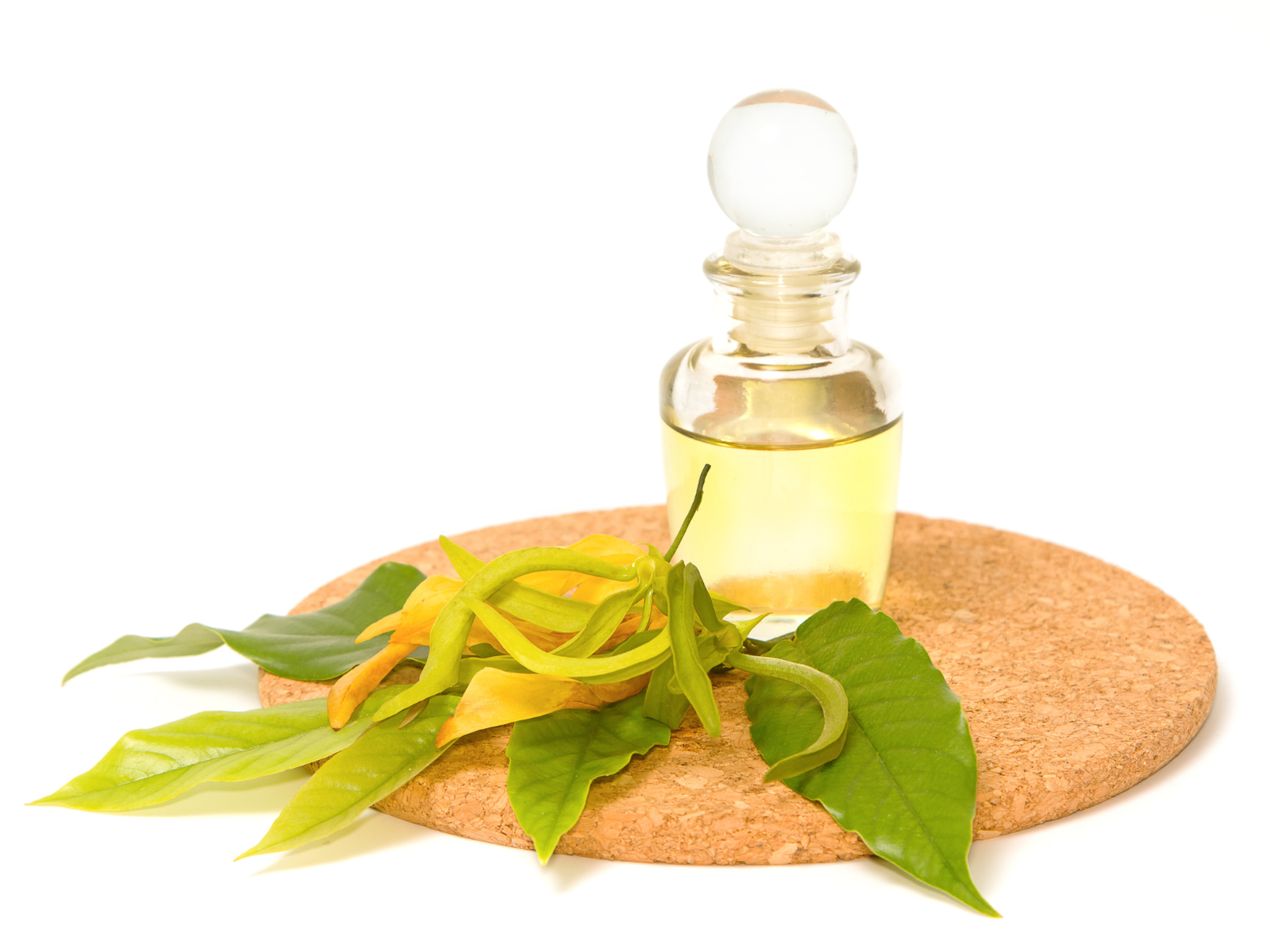 イランイランの香りが導く「真の女性らしさ」とスピリチュアルな癒し