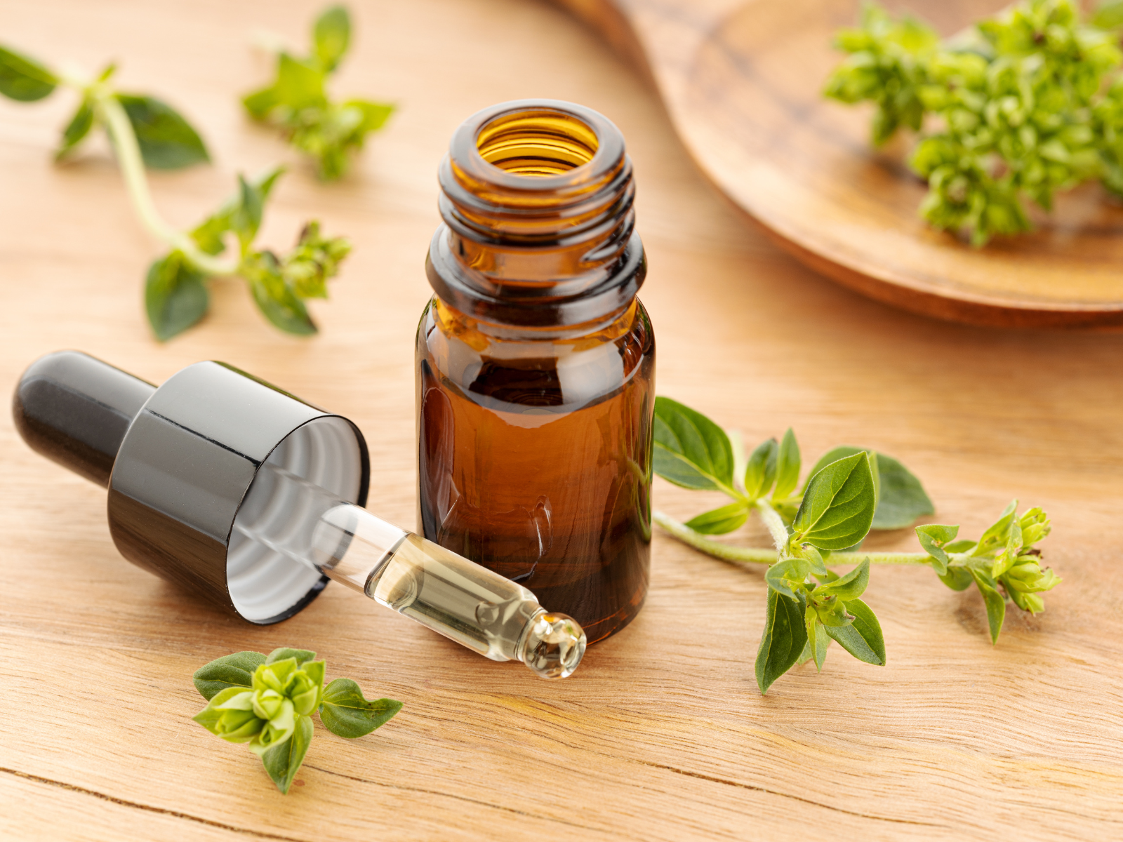 邪気を払い心を強くする！オレガノ精油がもたらす浄化と守護の力