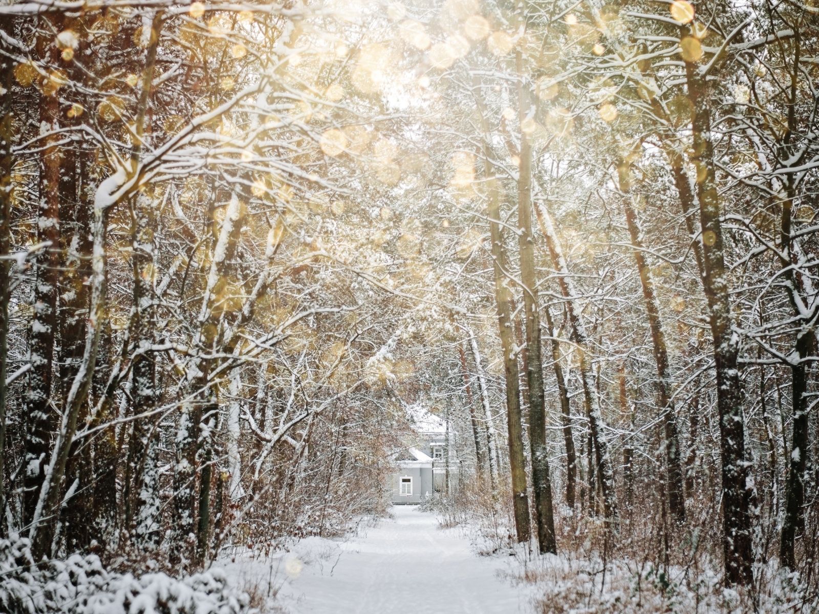 冬至（とうじ）