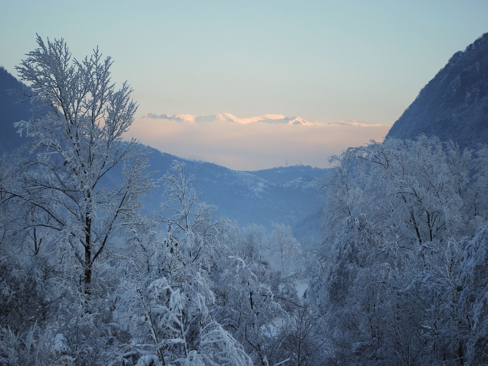 大寒（だいかん）
